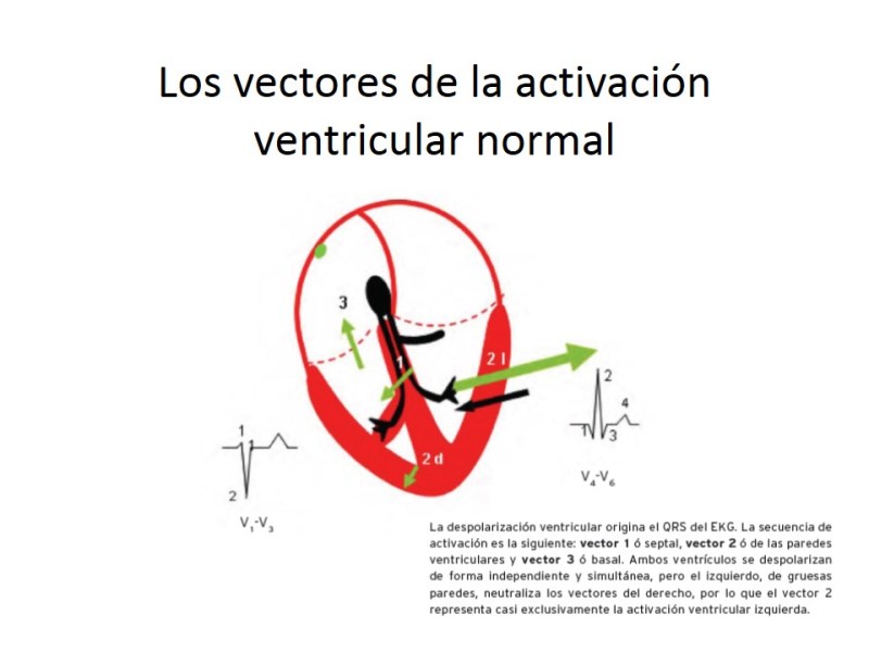 curso de ECG-2-Noviembre 2014