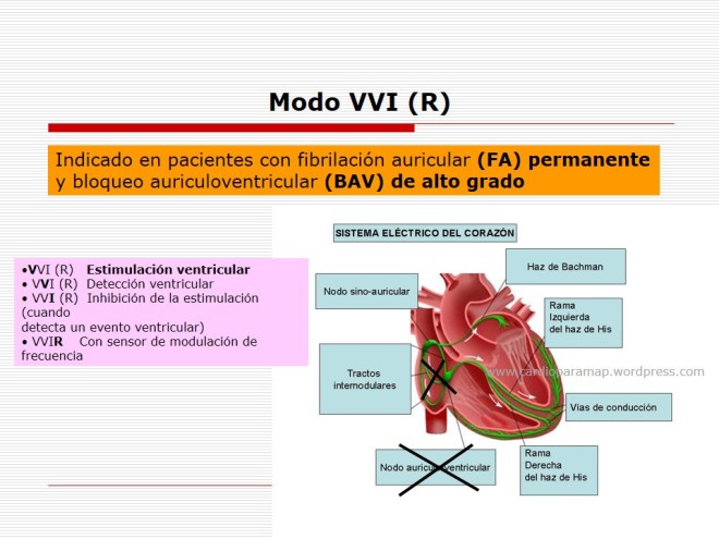 Diapositiva4
