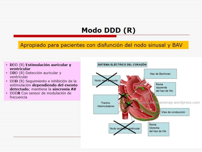 Diapositiva5