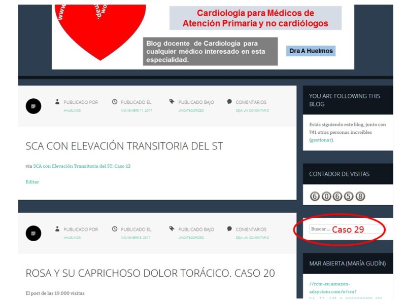 Plantilla- Como buscar los caso